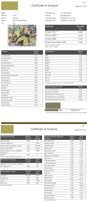 Single Sample AR results COA