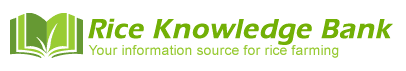 IRRI Rice knowledge bank logo